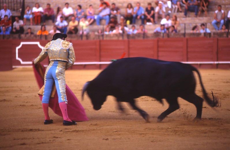 19Espana